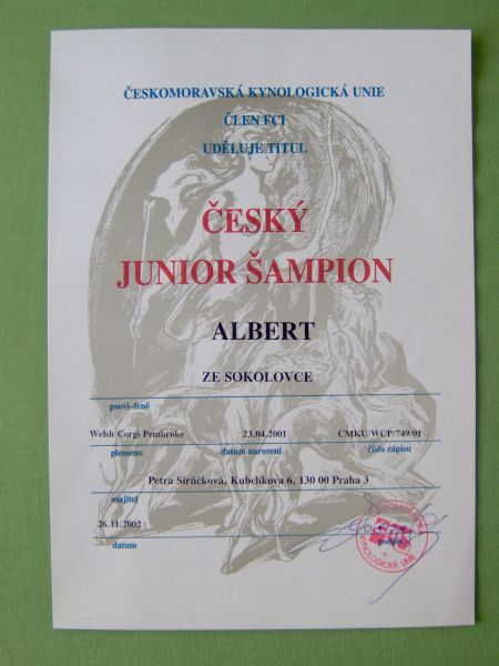 Cesky_junior_sampion